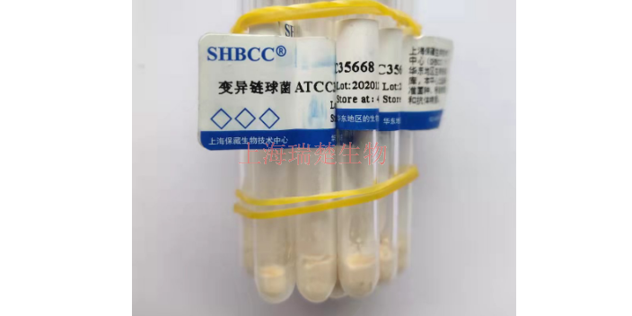新疆盐红菌,菌种菌株