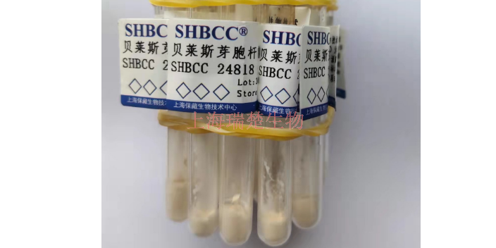 丙酸杆菌属 欢迎咨询 上海瑞楚生物科技供应