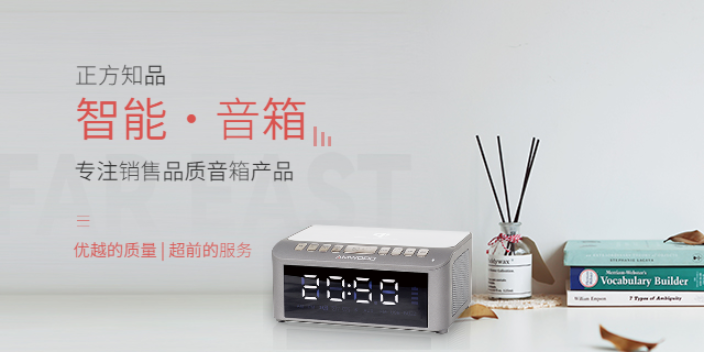 赵县Beats音箱授权经销商 客户至上 河北正方知品电子供应;