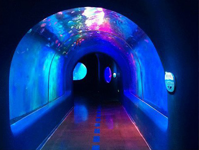 青島某海底世界的觀光隧道工程