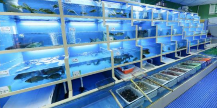 杭州专业大型鱼缸定做公司,大型鱼缸