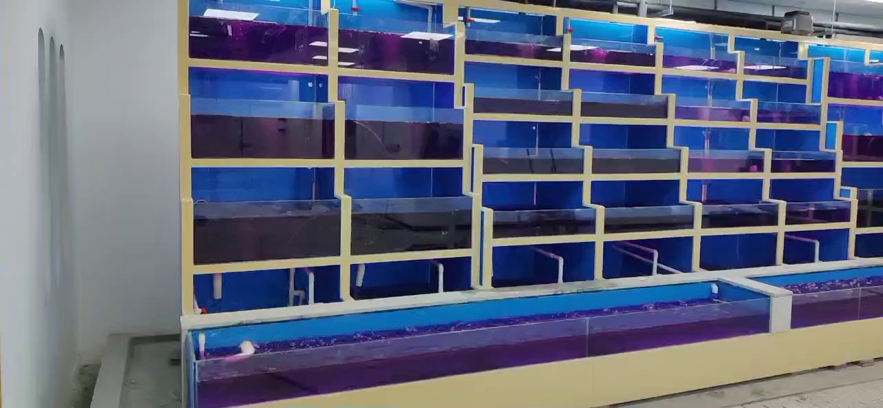 四川每日优鲜鱼缸,鱼缸