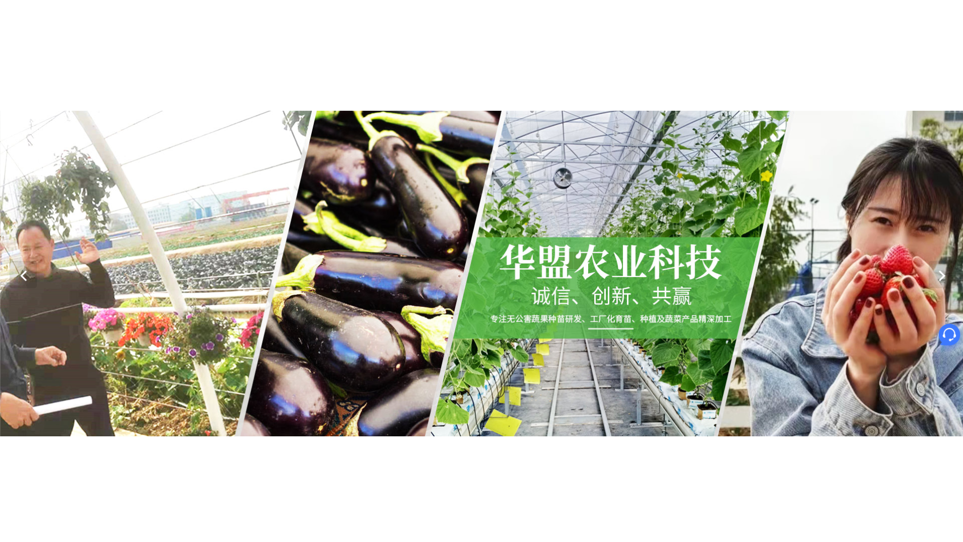 中山市華盟農業科技有限公司