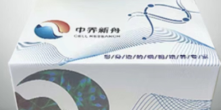吉林兔肝細(xì)胞新西蘭大白兔原代肝細(xì)胞哪里有