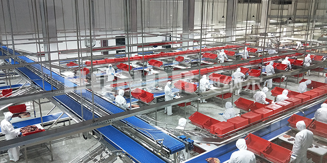 滨州肉类分割输送线生产厂家 山东奥纳尔制冷科技供应