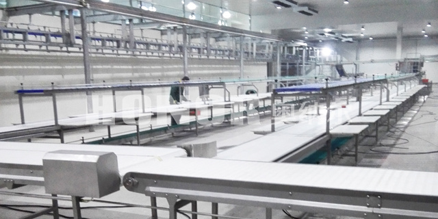 滨州禽类分割输送线生产厂家 山东奥纳尔制冷科技供应