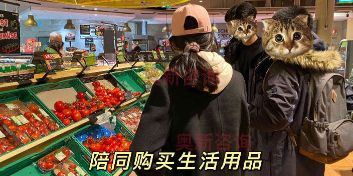 中學(xué)留學(xué)要求 歡迎來電 紹興市奧新商務(wù)咨詢供應(yīng)