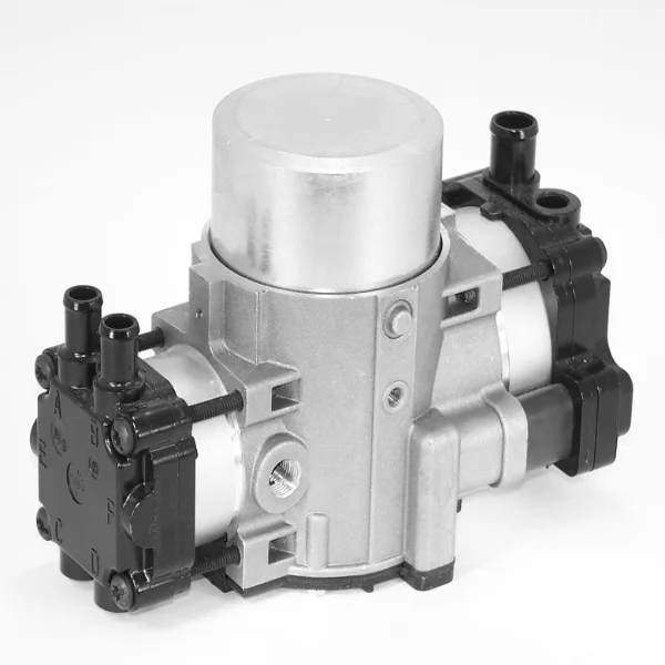 Clean the piston pump