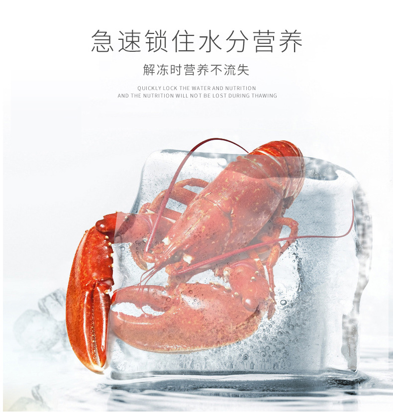 液氮速凍柜（雙開門）6.jpg