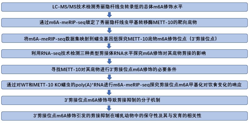 研究思路