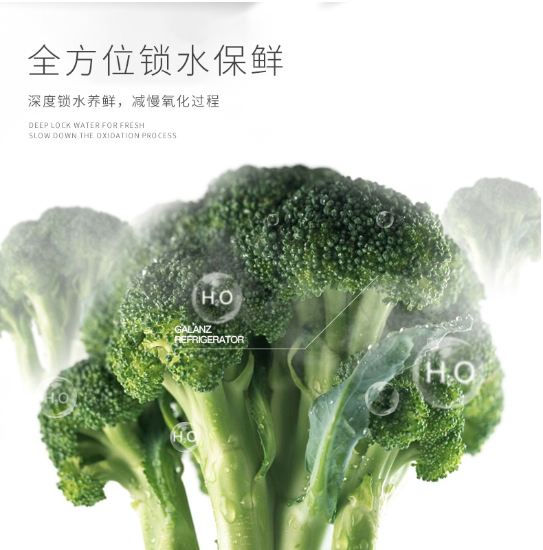 液氮速凍柜（單開門）5.jpg