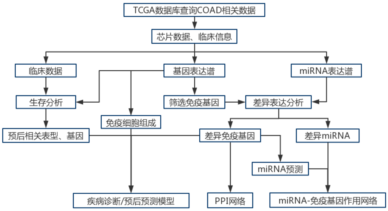 研载生物科技（上海）有限公司