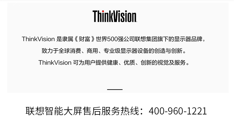 thinkvision-16.jpeg