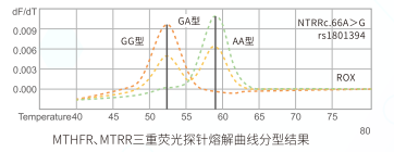 多重HRM SNP分型試劑盒