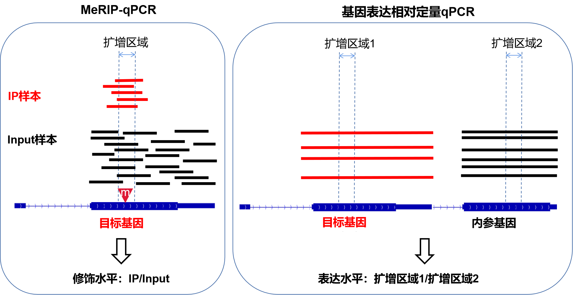 qPCR对比示意图