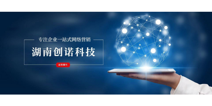 天元区本地网络营销 欢迎来电 湖南创诺科技供应