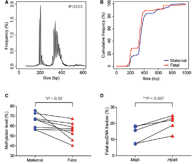 母体和胎儿来源的环状DNA长度和甲基化分析