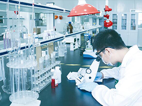热烈祝贺苏州博洋化学股份有限公司网站成功上线!