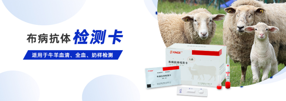 吉林禽流感H7N9抗体检测卡口碑推荐 深圳芬德生物供应 深圳芬德生物供应