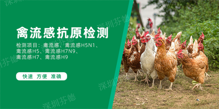 西藏禽流感H7抗原检测卡服务电话