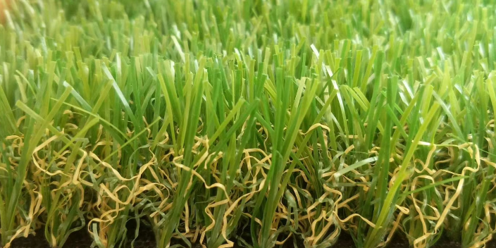草坪养护每平方的成本是多少钱