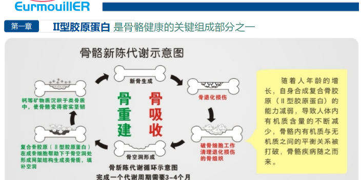 杭州法国胶原蛋白肽哪款好 诺倍康供应