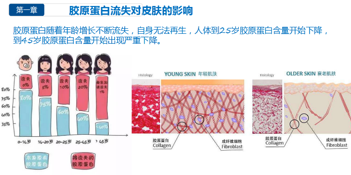 太原瓶装胶原蛋白肽哪家有用