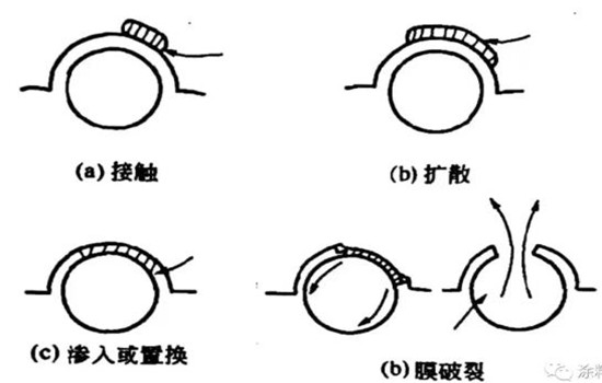 涂料中的氣泡和泡沫是怎樣產(chǎn)生的？又如何消除？-蘇州青田新材料有限公司