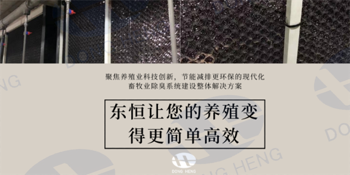 甘肃质量猪舍楼房整体通风系统 服务至上 深圳市东恒科技供应