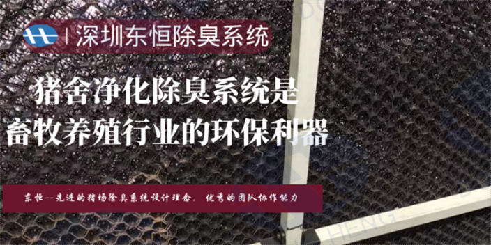 重庆猪舍楼房整体通风系统技术指导 物理过滤 深圳市东恒科技供应