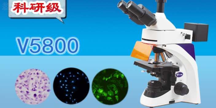 广西偏光显微镜供应商,显微镜