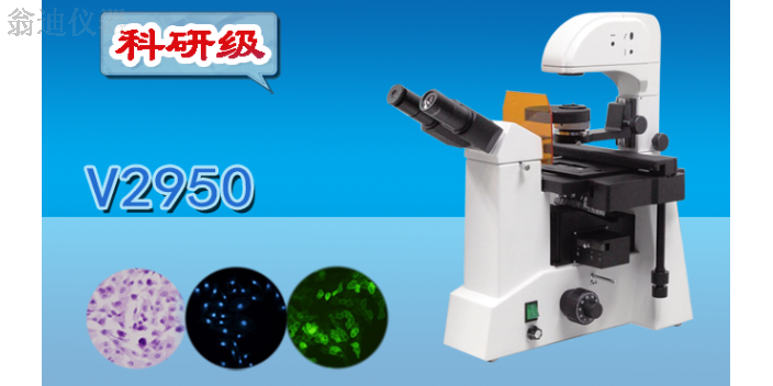 江门体视荧光显微镜销售公司