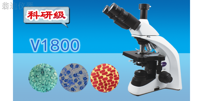 广州偏光显微镜供应商 广州市翁迪仪器供应