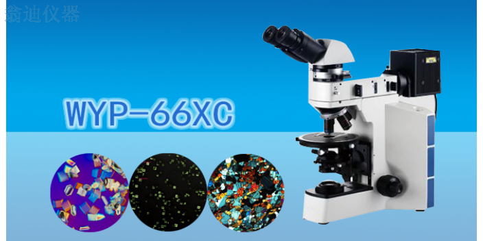 广州体视显微镜哪家便宜 广州市翁迪仪器供应