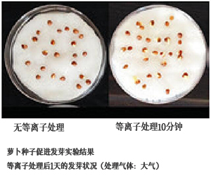 等離子實驗例.jpg