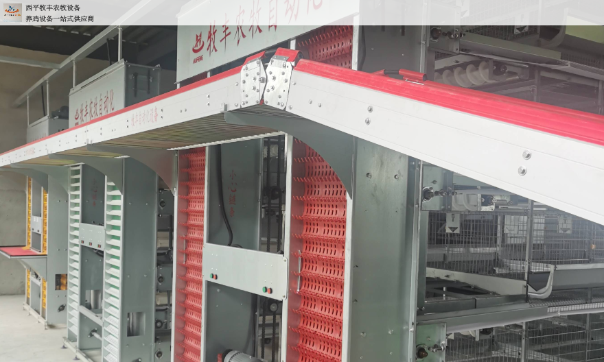 北京智能化层叠式鸡笼生产厂家,层叠式