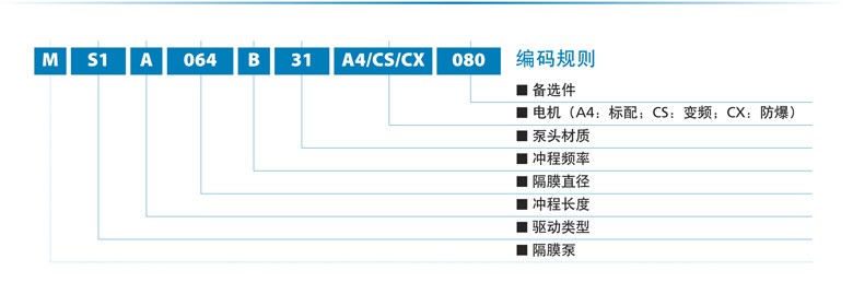 MS1-2.jpg