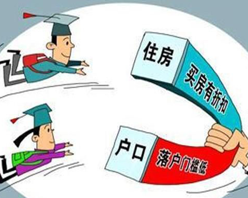 人才引進