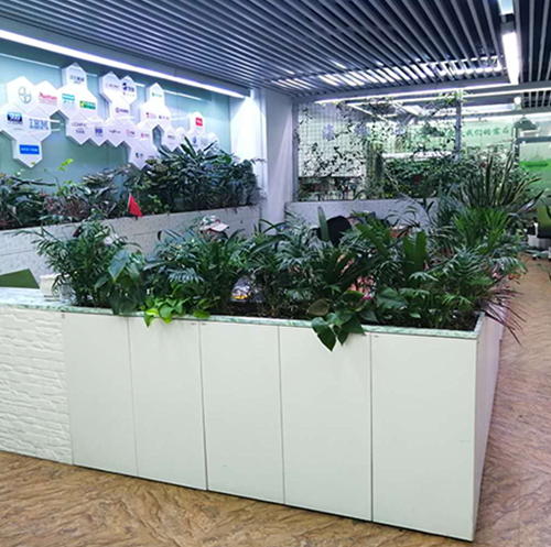 海納邇公司辦公區域植物家具
