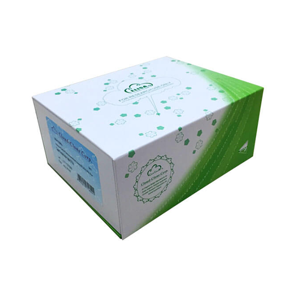 上皮性钙黏附蛋白检测试剂盒(酶联免疫吸附试验法)