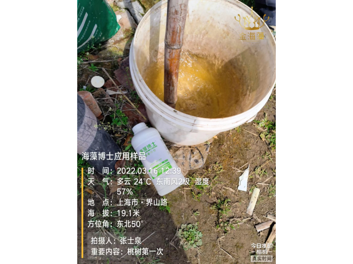 安徽工厂化培育海藻肥改善土壤