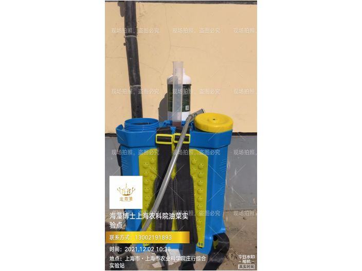 內蒙古高濃度海藻肥抗旱 上海思衛特生物科技供應