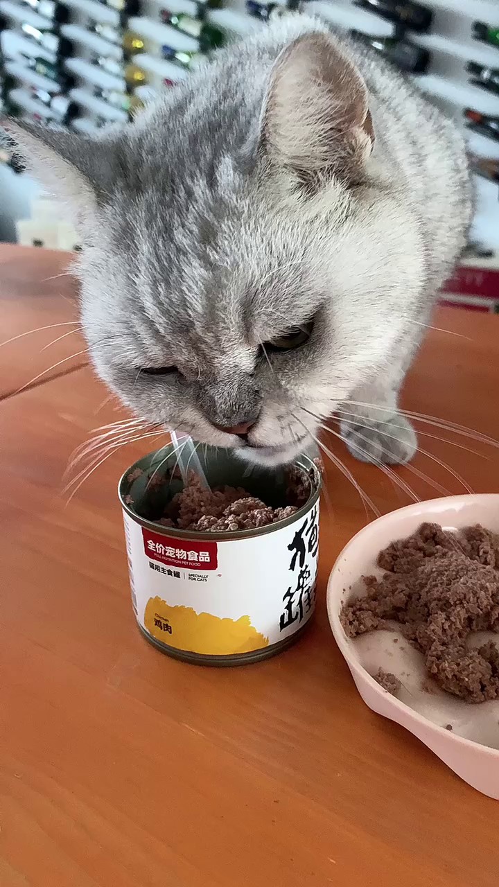 山西猫零食，猫零食