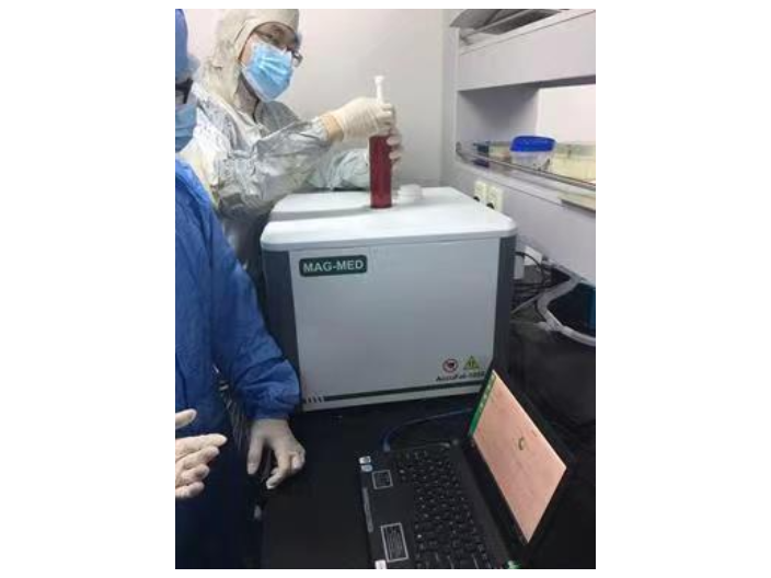 实验小鼠体脂分析仪器咨询,体脂分析