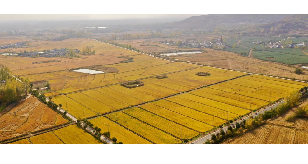 淮安小包装大米批发 江苏景山生态有机农业供应