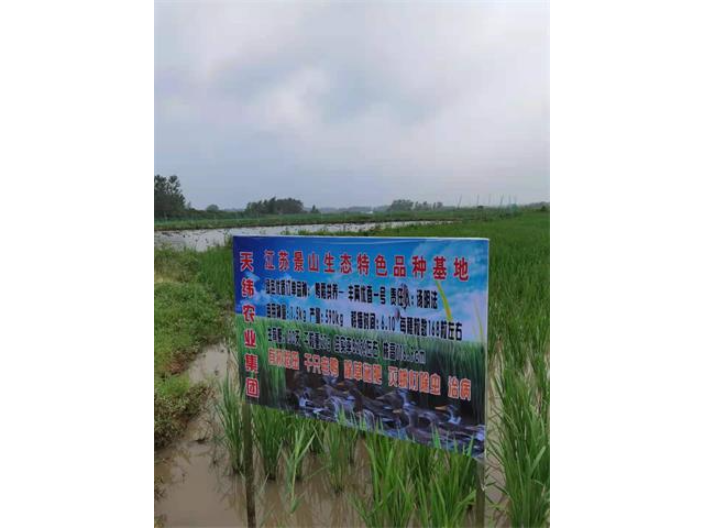揚州真空包裝大米銷售 誠信為本 江蘇景山生態有機農業供應