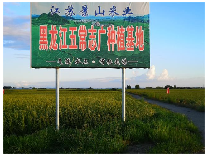 福建圆粒米销售 江苏景山生态有机农业供应