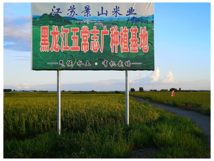 紹興圓粒米生產廠家 歡迎來電 江蘇景山生態有機農業供應