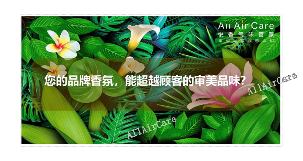 河北恶臭异味治理公司哪家好,空间异味治理