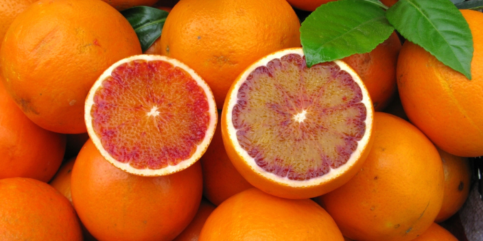 铜梁区今年血橙热性 值得信赖 康山水果合作社供应